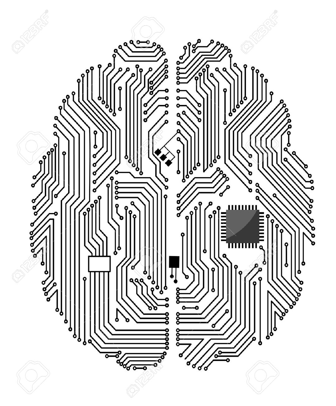 Cortex